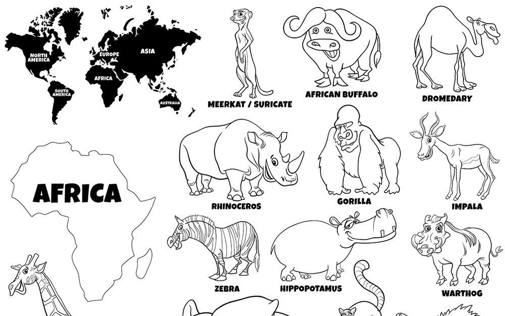 Educational Coloring Book